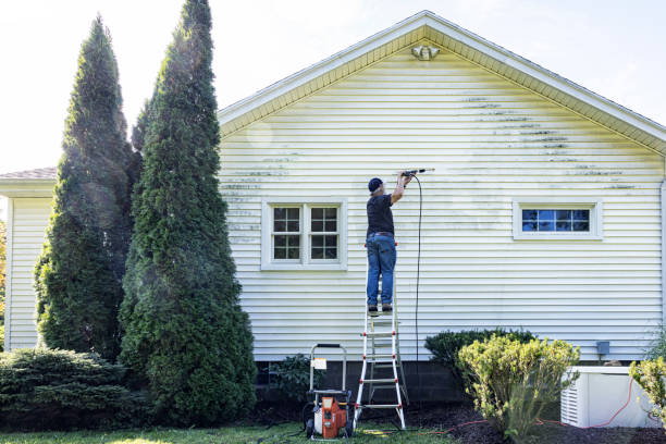 Boat and Dock Cleaning in Forest Lake, IL